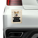 Akita Mugshot Bad Dog Fridge refrigerator Car Magnet Bumper Sticker