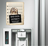 Havanese Mugshot Bad Dog Fridge refrigerator Car Magnet
