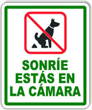Sonríe estás en la cámara DOG POOP Aluminum Composite Sign