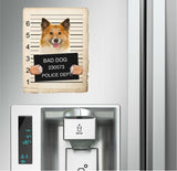 Icelandic Sheepdog Mugshot Bad Dog Fridge refrigerator Car Magnet
