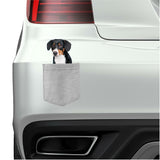 Entlebucher Sennenhund in pocket Fridge Car Magnet Bumper Sticker App size 4"x7"