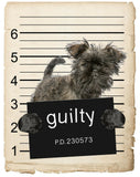 Affenpinsche Mugshot Bad Dog Fridge refrigerator Car Magnet Bumper Sticker