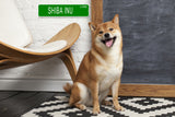BELGIAN MALINOI LANE 24"x6 ALUM COMPOSITE SIGN