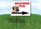Anatolian Shepherd Dog FOR SALE DOG RIGHT ARROW Yard Sign with Stand LAWN SIGN