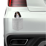 Cavalier King Charles in pocket Fridge Car Magnet Bumper Sticker App size 4"x7"