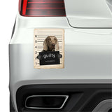 Weimaraner Mugshot Bad Dog Fridge refrigerator Car Magnet