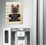 Cairn Terrier Mugshot Bad Dog Fridge refrigerator Car Magnet