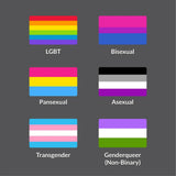 Set of 6 magnetic bumper stickers magnet LGBTQA pride flags Bisexual Pansexual