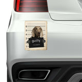 Weimaraner Mugshot Bad Dog Fridge refrigerator Car Magnet