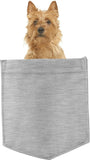 Australian Terrier Dog in pocket Fridge Car Magnet Bumper Sticker App size 4"x7"