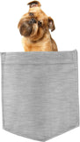 Brussels Griffon Dog in pocket Fridge Car Magnet Bumper Sticker App size 4"x7"