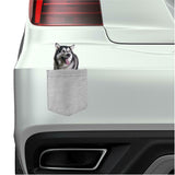 Alaskan Malamute Dog in pocket Fridge Car Magnet Bumper Sticker App size 4"x7"