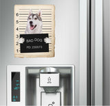 Siberian Huskey Mugshot Bad Dog Fridge refrigerator Car Magnet