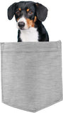 Entlebucher Sennenhund in pocket Fridge Car Magnet Bumper Sticker App size 4"x7"