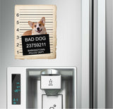 Pembroke Welch Corgi Mugshot Bad Dog Fridge refrigerator Car Magnet