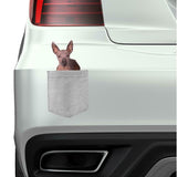 Xoloitzcuintli Dog in pocket Fridge Car Magnet Bumper Sticker App size 4"x7"