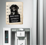 Lhasa Apso Mugshot Bad Dog Fridge refrigerator Car Magnet