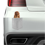 Cavalier King Charles in pocket Fridge Car Magnet Bumper Sticker App size 4"x7"