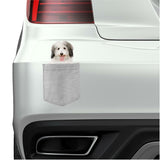 Coton De Tulear Dog in pocket Fridge Car Magnet Bumper Sticker App size 4"x7"
