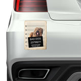 Briard Mugshot Bad Dog Fridge refrigerator Car Magnet