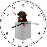 Newfoundland In Your Pocket Dog kitchen living room Wall Clock