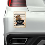 Bull Mastiff Mugshot Bad Dog Fridge refrigerator Car Magnet