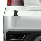 Cane Corso Dog in pocket Fridge Car Magnet Bumper Sticker App size 4"x7"