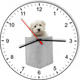 Maltese In Your Pocket Dog kitchen living room Wall Clock