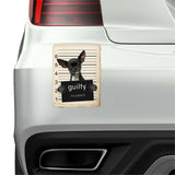 Chihuahua Mugshot Bad Dog Fridge refrigerator Car Magnet