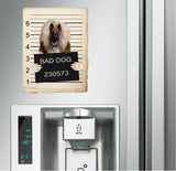 Afghan Hound Mugshot Bad Dog Fridge refrigerator Car Magnet Bumper Sticker