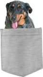 Beauceron Dog in pocket Fridge Car Magnet Bumper Sticker App size 4"x7"