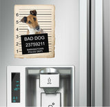 Fox Terrier Mugshot Bad Dog Fridge refrigerator Car Magnet
