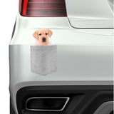 Yellow Lab Dog in pocket Fridge Car Magnet Bumper Sticker App size 4"x7"