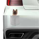 Cairn Terrier Dog in pocket Fridge Car Magnet Bumper Sticker App size 4"x7"