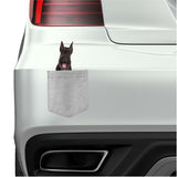 Giant Schnauzer Dog in pocket Fridge Car Magnet Bumper Sticker App size 4"x7"