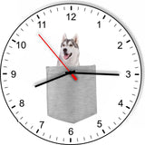 Siberian Huskey In Your Pocket Dog kitchen living room Wall Clock