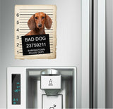 Dachshund Mugshot Bad Dog Fridge refrigerator Car Magnet