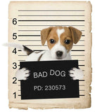 Russel Terriere Mugshot Bad Dog Fridge refrigerator Car Magnet