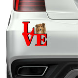 Collie Dog Love Park Dog Fridge Refrigerator Car Magnet