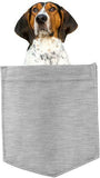 Treeing Walker Coonhound pocket Fridge Car Magnet Bumper Sticker App size 4"x7"