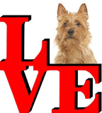 Australian Terrier Love Park Cute Dog Fridge Refrigerator Car Magnet
