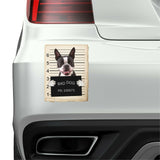 Boston Terrier Mugshot Bad Dog Fridge refrigerator Car Magnet