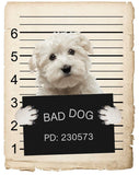 Maltese Mugshot Bad Dog Fridge refrigerator Car Magnet
