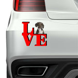 Spanish Water Spaniel Cute Dog Fridge Refrigerator Car Magnet