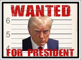 3 Pack Eco Wanted for President Trump Republican Bumper Magnet 4 in x 3 in