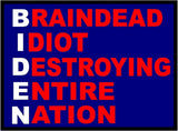 3 Pack Eco Biden White Brain Idiot Bumper Magnet 4 in x 3 in